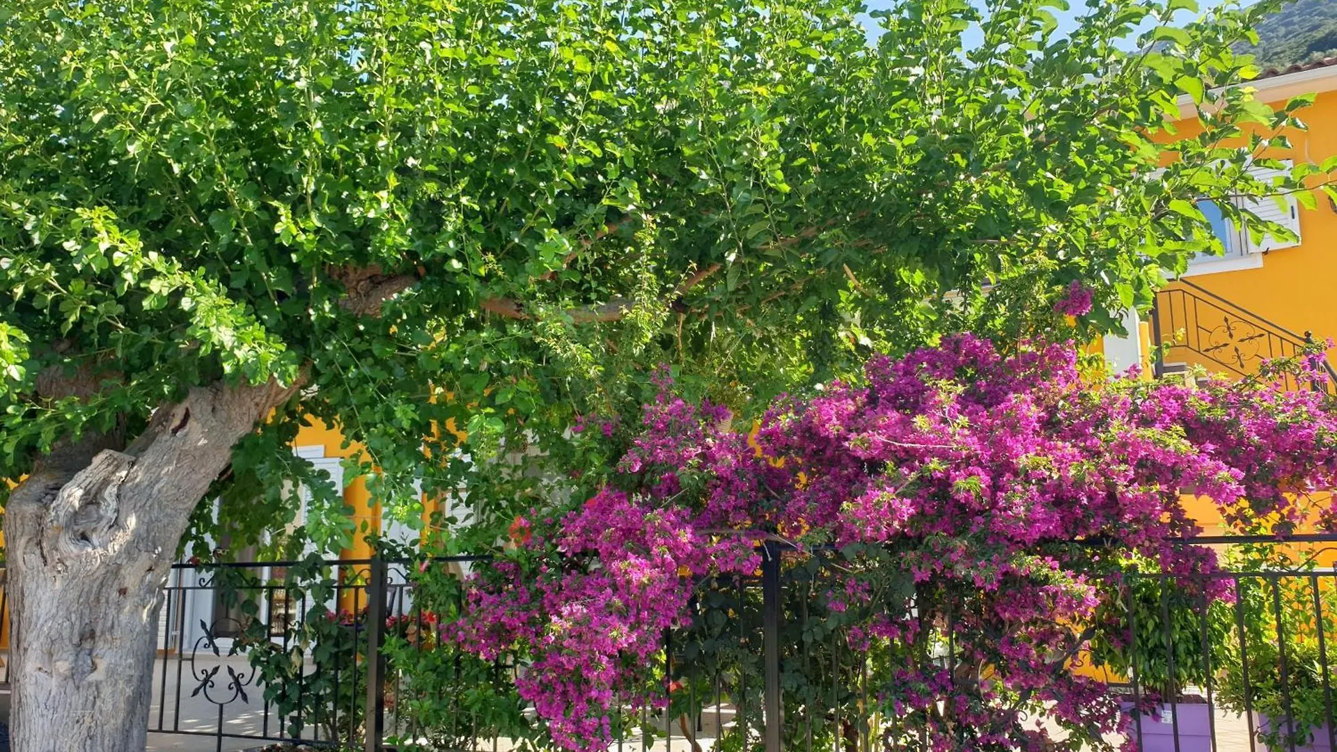 Theyellow House II Fully Equipped 2Br Apartment Andipata Greece